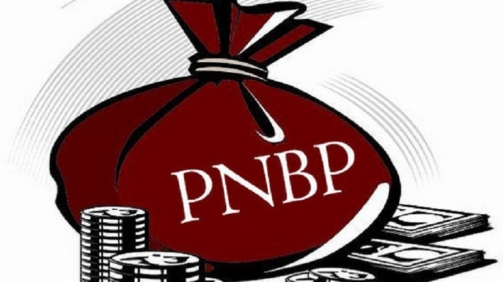 Apa itu Penerimaan Negara Bukan Pajak (PNBP)?