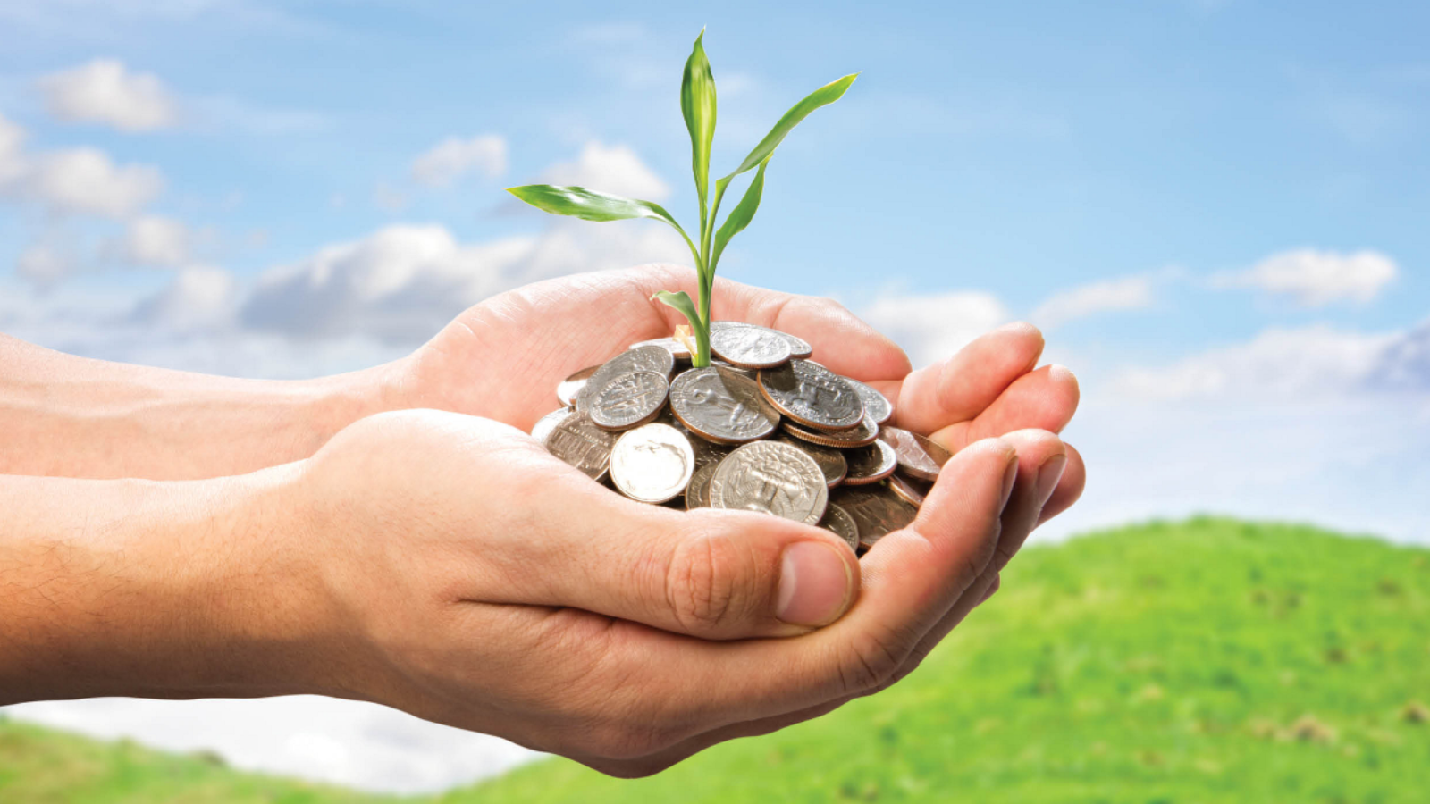 Pajak Lingkungan (Green Tax) Sebagai Upaya Kelestarian dan Pembangunan Berkelanjutan