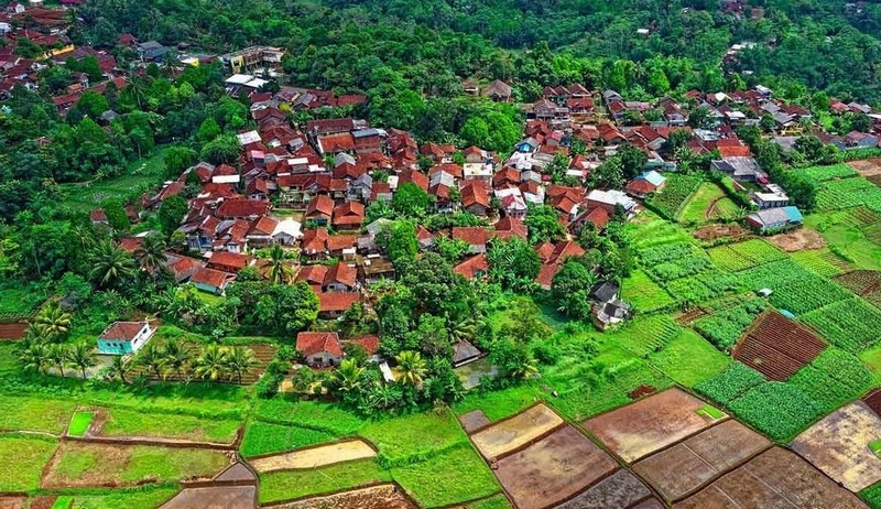 Membangun Desa dengan Pajak: Peran Dana Desa dalam Pemerataan Ekonomi